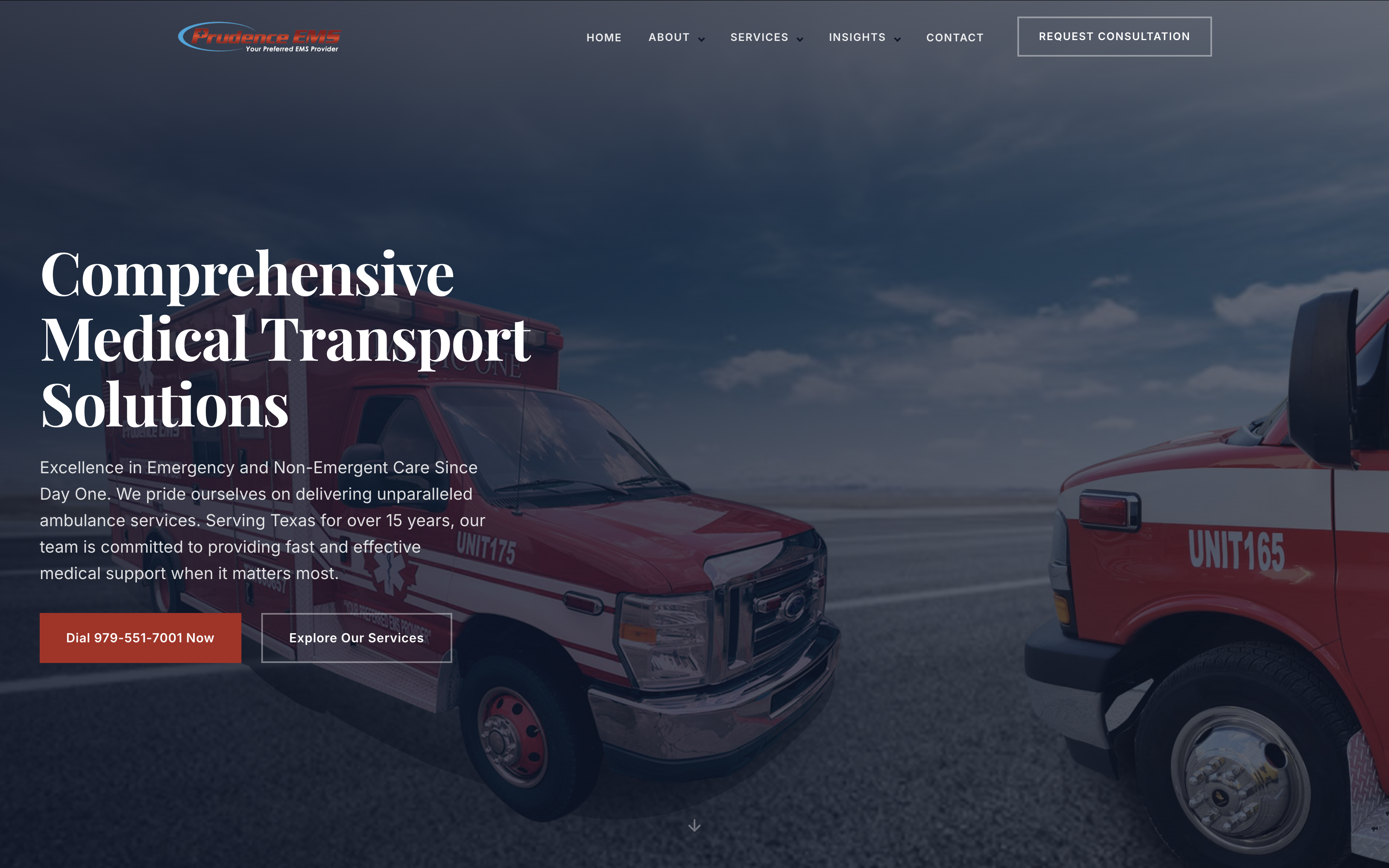 Prudence Consortium , Healthcare & emergency services